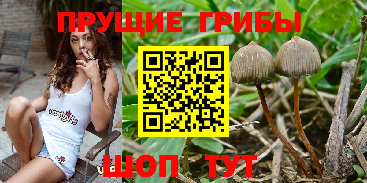 Коряжма  Галлюциногенные грибы MAGIC MUSHROOMS  Вход с VPN 