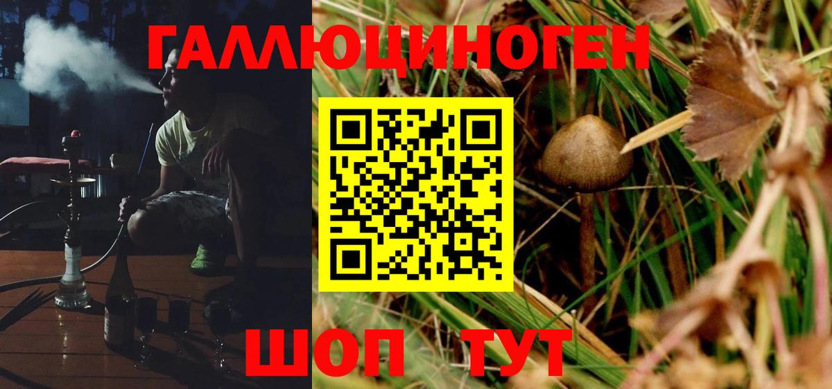 Галлюциногенные грибы мухоморы Коряжма