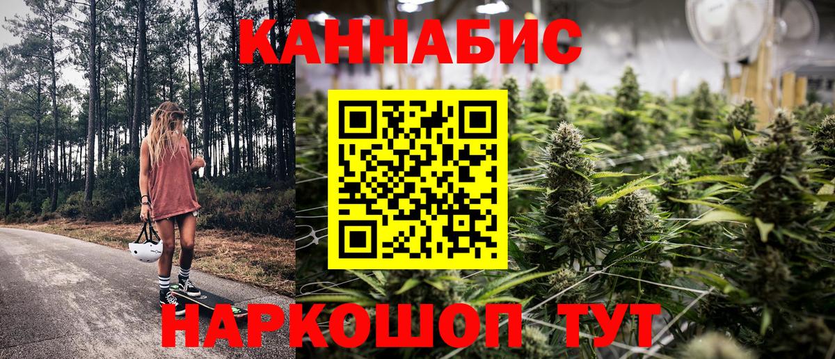 Канабис сатива Коряжма